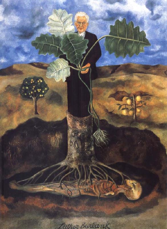 Frida Kahlo Portrait of Luther Burbank china oil painting image